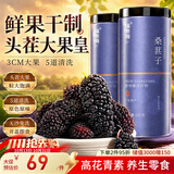 福东海 桑葚子500克（250g*2瓶）【大果皇】精选无沙桑椹即食泡水泡酒 