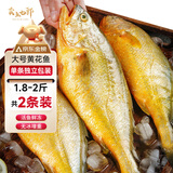 卖鱼七郎宁德黄花鱼净重2-1.8斤 共2条装 国产福建大黄鱼生鲜鱼类海鲜水产