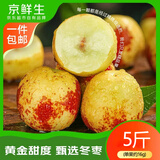 京鲜生山东沾化冬枣 净重5斤 单果16g+ 新鲜水果清脆爽口源头直发包邮