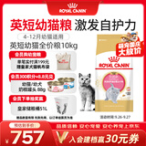 皇家猫粮 英短幼猫粮 BSK38 4-12月 10KG