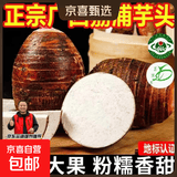 【可溯源地标】广西荔浦大芋头现挖粉糯大香芋新鲜蔬菜香芋火锅 精选大芋头 净重3斤 (2-3个)