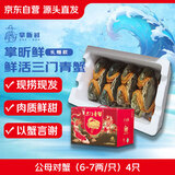 【活蟹】掌昕鲜三门青蟹 公母对蟹（6-7两/只）4只鲜活螃蟹国庆送礼盒非梭子蟹源头直发