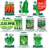 北蔬萝卜白菜籽香菜菠菜胡萝卜生菜秋冬菜种 10种秋冬季蔬菜种子套餐