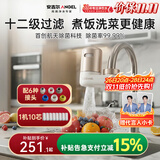 安吉尔陶瓷水龙头净水器净化家用自来水过滤器除异味异色净水机 一机十芯套装 LT3672-CF30