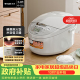 虎牌（TIGER）电饭煲 多功能智能微电脑 可预约定时煮饭电饭煲 家用不粘锅电饭锅 4-5人 5L JAX-C18C