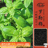 寿禾罗勒种子苗食用香草绿色盆栽种植香草种籽 潍丰寿艺罗勒种子5g