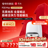 石头（roborock）【保价双11】扫地机器人扫拖一体 P20 Max扫拖洗烘一体机 自动集尘热水洗拖布擦地拖地 A2950RR