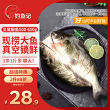 钓鱼记斑点叉尾鮰鱼1斤-1.3斤 二去净重 冷冻 烤鱼红烧烤生鲜 鱼类海鲜