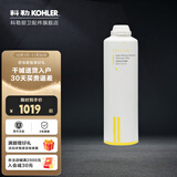 科勒（KOHLER）净水机滤芯KP040\/KP050直饮水机耗材80031\/80041活性炭配件 KP040高效反渗透膜【80031T-R2】