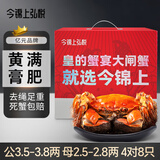 【活蟹】今锦上弘悦大闸蟹鲜活螃蟹礼盒公3.5-3.8两母2.5-2.8两4对8只礼盒礼品去绳足重