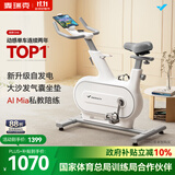 麦瑞克（MERACH）动感单车自发电家用智能调阻运动健身器材室内静音自行车 绝影ONE 自发电-10KG飞轮组-白色