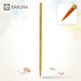 樱花（SAKURA）尼龙画笔毛笔水彩水粉丙烯油画笔 RNMM-P （面相 中）【日本进口】美术写生