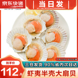 海泽鲜 鲜冻虾夷半壳特大扇贝1000g  海鲜烧烤食材超大号蒜蓉粉丝扇贝肉 【虾夷大扇贝】 800g(净重)  -1000