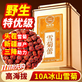 福东海10A野生昆仑雪菊胎菊200克 正宗【特优级新疆】天山雪菊花茶
