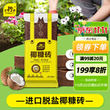 史丹利椰糠砖650g*3 椰土砖椰砖营养土脱盐花土耶砖种菜通用型