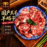 民维大牧汗内蒙古羔羊原切羊蝎子净重3.2斤 羊脊骨火锅烧烤 羊肉生鲜