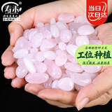 寿禾雨花石石头天然鹅卵石鱼缸盆栽造景 500g粉白水晶雨花石0.8-1.5cm