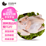 京东跑步鸡原种清远鸡2斤 138天地理标志莫氏鸡煲同款食材