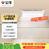 公牛风暖浴霸2200W双档取暖小户型四合一带照明按键开关GY12AJG