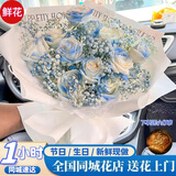 鲜花同城配送满天星碎冰蓝玫瑰真花花束小时达送女友生日礼物 【臻爱】11朵碎冰蓝玫瑰 同城今日达-可预约日期时间