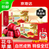 京地达水果礼盒装花牛苹果甘肃天水18枚净重10斤单果250g+源头直发包邮