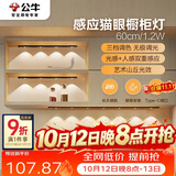 公牛（BULL）感应猫眼橱柜灯磁吸充电山丘光效展柜玄关氛围小夜灯 黑60cm三色