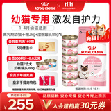 皇家猫粮 离乳期幼猫粮干湿套装BK34 2KG+幼猫湿粮罐头BMC 88g*6