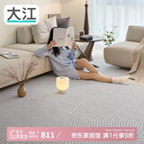 大江地毯客厅2025新款免洗可擦轻奢高级防水防污现代简约200x300cm
