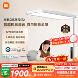 米家【新品现货速发】立式学习灯2护眼大路灯落地台灯智能控光调光