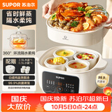 苏泊尔（SUPOR）电炖锅电炖盅隔水炖家用多功能煲汤炖汤盅陶瓷燕窝炖盅一盅五胆蒸炖一体 DZ25YC886