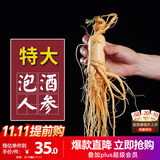 半山农新鲜人参1支约40克 东北特产长白山人参泡酒药材长辈补品年货礼品