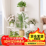 蜗家花架落地多层铁艺摆放花盆架置物架客厅阳台绿萝花架941乳白色
