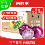 京鲜生甘肃紫红皮洋葱净重5斤单果120g+ 现挖新鲜蔬菜 源头直发包邮
