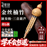音域云南金丝楠木葫芦丝乐器降B调初学演奏专用吹奏乐器