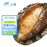 灵略鲜冻大鲍鱼净重500g10-12粒 盒装鲍鱼火锅烧烤贝类海鲜生鲜