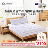 Downia床褥 五星级酒店同款75%白鹅绒羽绒床褥垫子 厚榻榻米垫子1.5米床