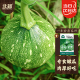 北蔬 小南瓜种子苗早熟花皮嫩南瓜小青瓜蔬菜种籽 一串铃南瓜种子20粒
