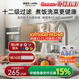 安吉尔陶瓷水龙头净水器净化家用自来水过滤器除异味异色净水机 一机十芯套装 LT3672-CF30