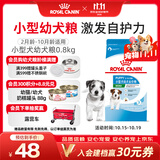 皇家狗粮 幼犬狗粮 幼犬奶糕宠物小型犬MIJ31全价犬粮2-10月800g