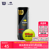 威尔胜（Wilson）美网专业比赛赛事用球上海大师赛全场地练习训练有压网球罐装球 【美网球】WRT107300 有压球