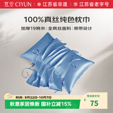 慈云纯色真丝枕巾 100%真丝面料单面丝绸一只装 雾霾蓝 48*74cm