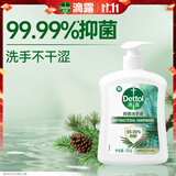 滴露（Dettol）洗手液松木500g瓶 健康抑菌消毒非补充装 儿童家庭用清爽去油