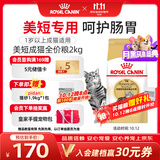 皇家猫粮 美短成猫粮 ASA31 通用粮 12月以上 2KG