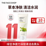 菲诗小铺（THE FACE SHOP）草本芦荟洗面奶170g清洁补水大容量洗脸双十一礼物送女友 绿豆170g-收缩毛孔