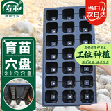 寿禾 穴盘育苗器种植盒多肉瓜果蔬菜播种杯 穴盘21孔5片