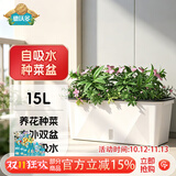 德沃多种菜盆长方形种植箱塑料加厚自动吸水花盆种菜箱蔬菜种植盆大号