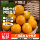 【东东农场专供】广西脆皮金桔纯甜爽口基地直发优选时令蜜桔 脆皮金桔6号果（4-8g/粒） 带箱1斤
