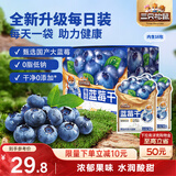 三只松鼠每日蓝莓干256g/16包 无添加水果干果脯小包装儿童老人办公室零食