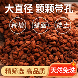 古达多孔天然火山石火山岩营养铺面底造景花盆垫底水培鱼缸过滤材料 【1-3厘米】五斤（约2500-2505克）