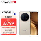 vivo X300 Pro 16GB+1TB 摄影师套装 旷野棕 蔡司2亿APO超级长焦 蓝图影像双芯 拍照 AI手机